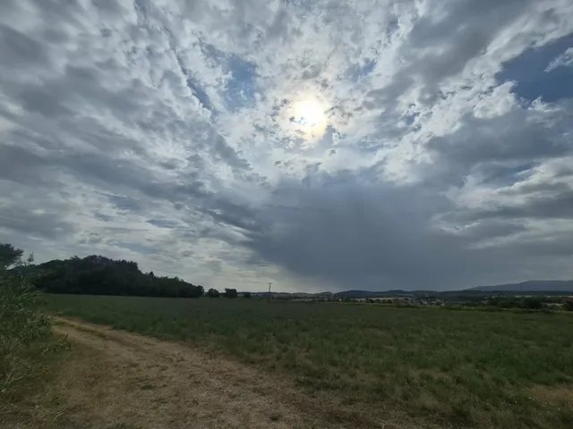 Eladó mezőgazdasági ingatlan Nemti 93606 nm