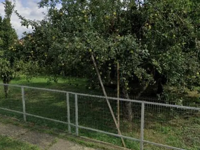 Eladó ház Vácszentlászló 200 nm