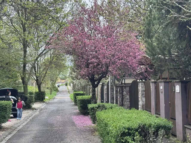 Eladó ház Budapest X. kerület 170 nm