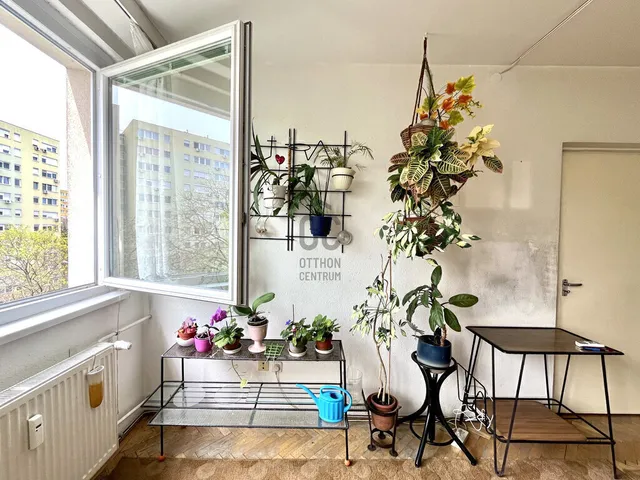 Eladó lakás Budapest XIV. kerület, Alsórákos 46 nm