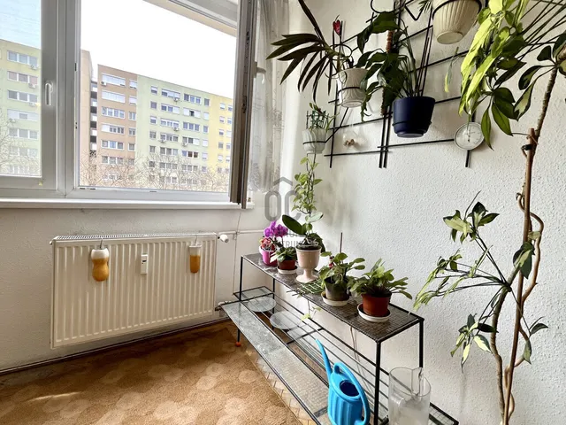 Eladó lakás Budapest XIV. kerület, Alsórákos 46 nm