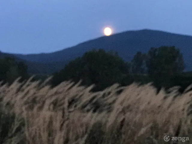 Eladó ház Hejce 100 nm