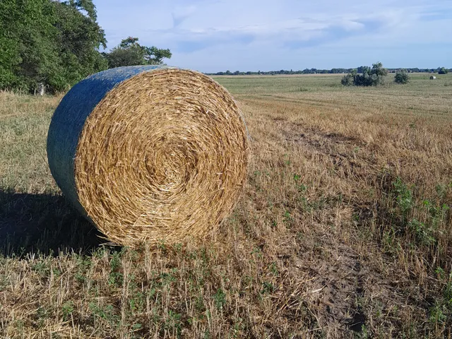Eladó ház Fülöpháza 70 nm