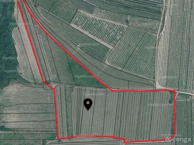 Eladó mezőgazdasági ingatlan Olaszliszka 41890 nm