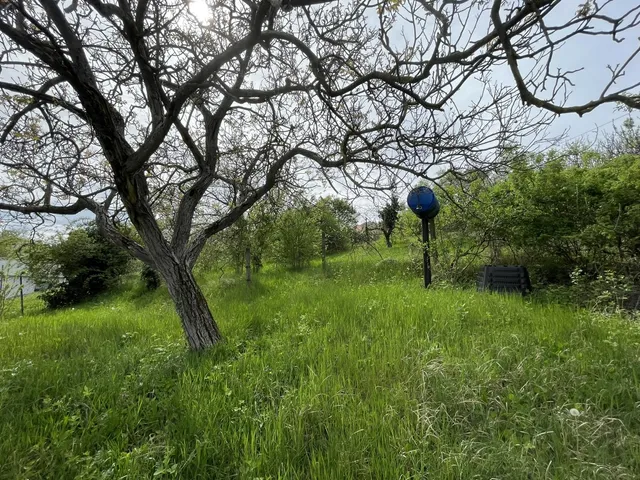 Eladó telek Pécs, Ürög 957 nm