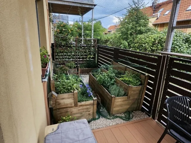 Eladó lakás Pécs 61 nm