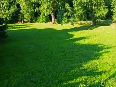 Eladó telek Abaliget 1238 nm
