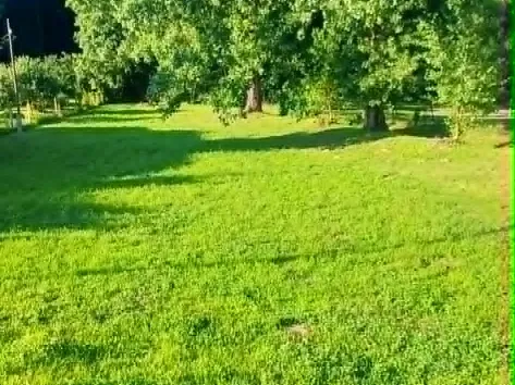 Eladó telek Abaliget 1238 nm