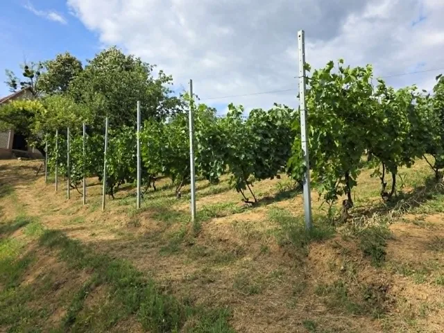 Eladó mezőgazdasági ingatlan Hetvehely 20 nm