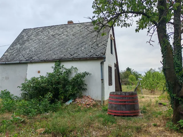 Eladó mezőgazdasági ingatlan Szigetvár 40 nm