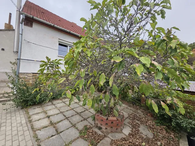 Eladó ház Pécs, Somogy 75 nm