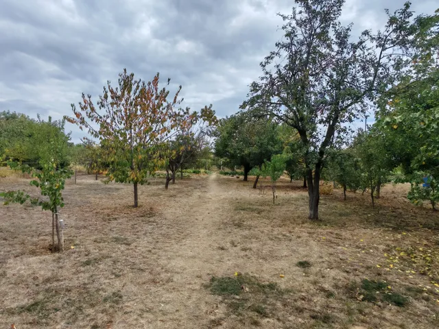 Eladó ház Szigetvár 50 nm