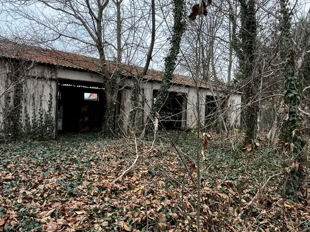 Eladó ház Kiskőrös 100 nm