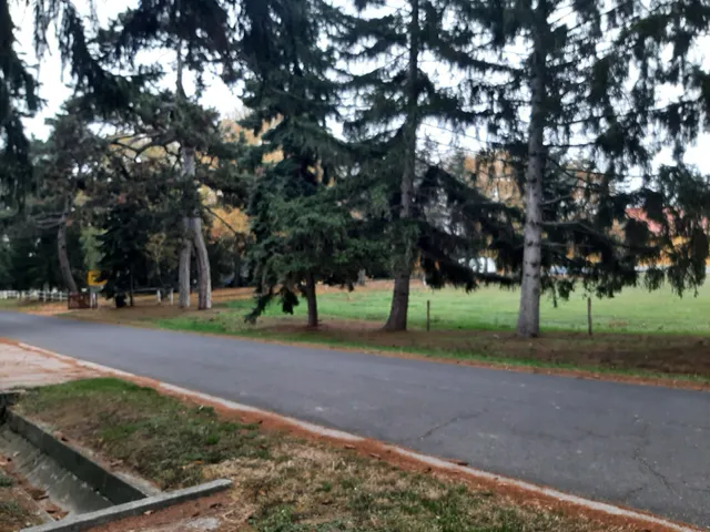 Eladó lakás Bábolna 111 nm