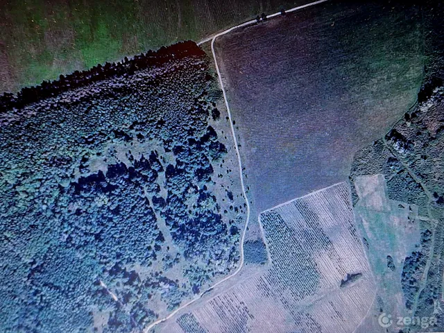 Eladó mezőgazdasági ingatlan Nyirád 101063 nm