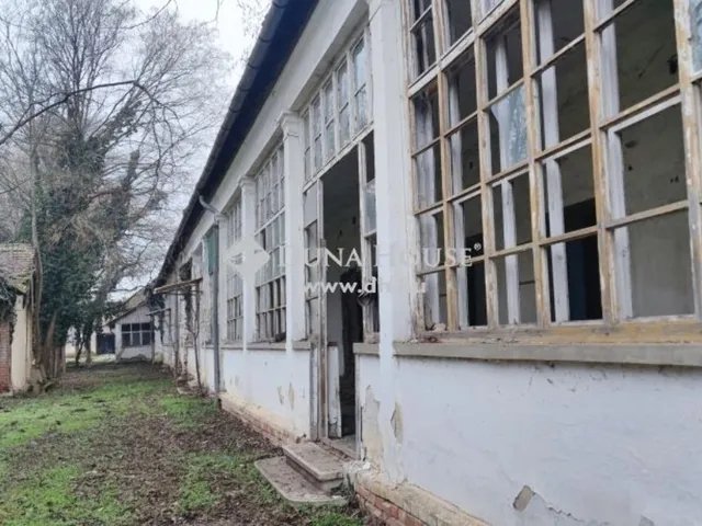 Eladó ház Hódmezővásárhely 179 nm