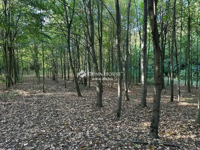 Eladó ház Kecskemét, Belsőnyír 1526 nm