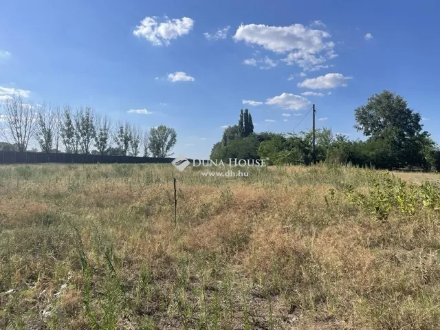 Eladó mezőgazdasági ingatlan Szeged 13055 nm