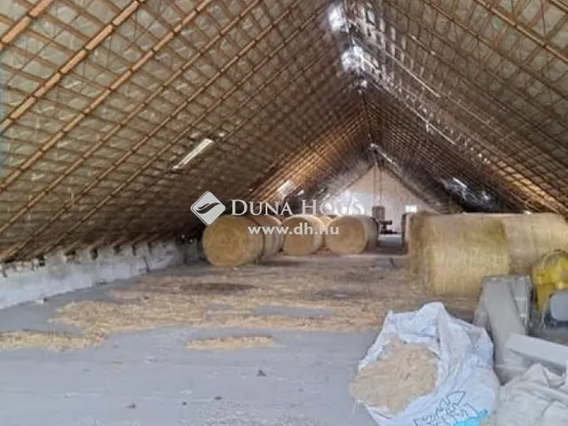 Eladó mezőgazdasági ingatlan Hódmezővásárhely 12000 nm