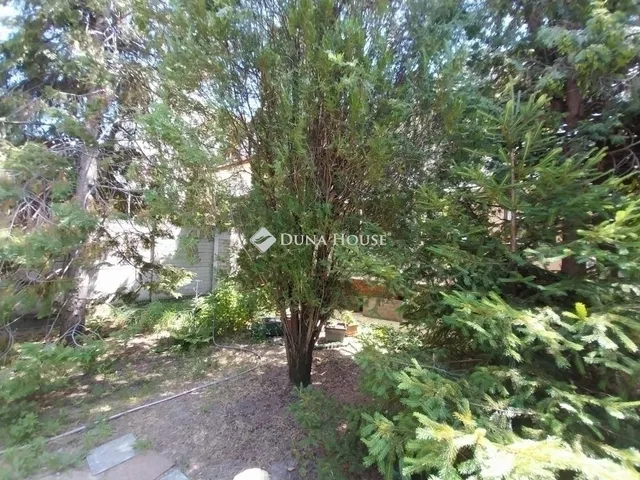 Eladó ház Szeged, Alsóváros 200 nm