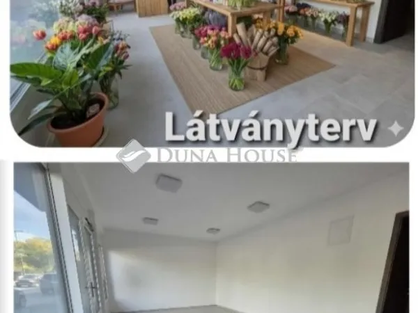 Eladó kereskedelmi és ipari ingatlan Szeged 54 nm