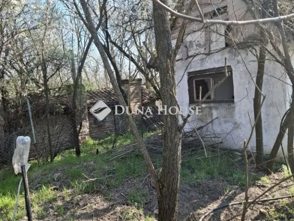 Eladó mezőgazdasági ingatlan Szeged 92 nm