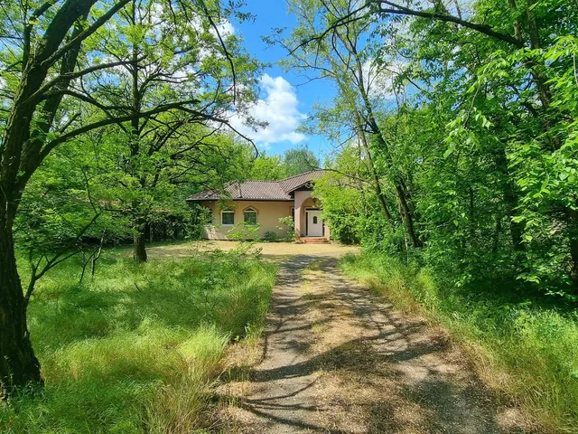 Eladó ház Nyírtura 280 nm