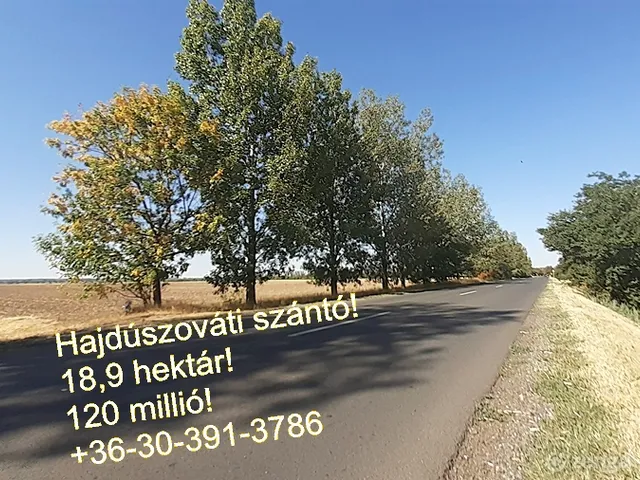 Eladó mezőgazdasági ingatlan Hajdúszovát 189057 nm