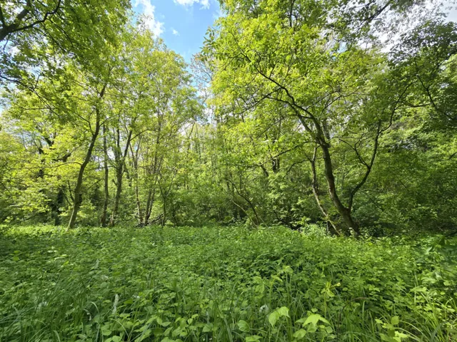 Eladó ház Nagyberki 90 nm