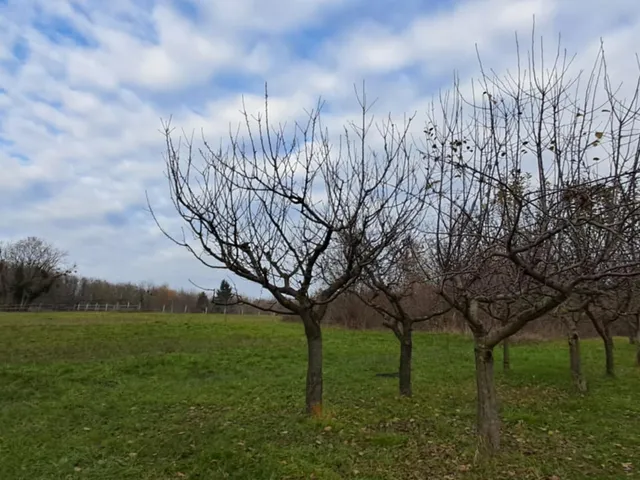 Eladó ház Zalakaros, Banyavölgyi 50 nm