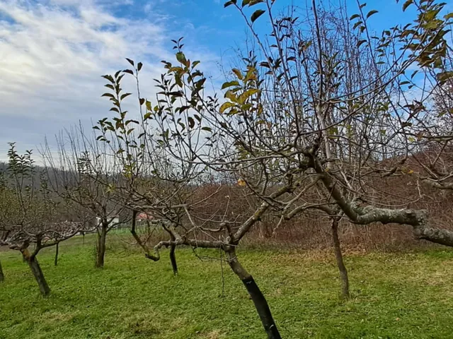 Eladó ház Zalakaros, Banyavölgyi 50 nm