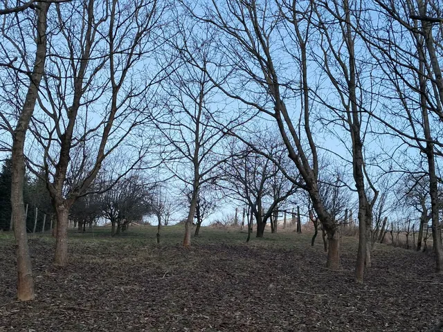 Eladó üdülő és hétvégi ház Nagybakónak 30 nm