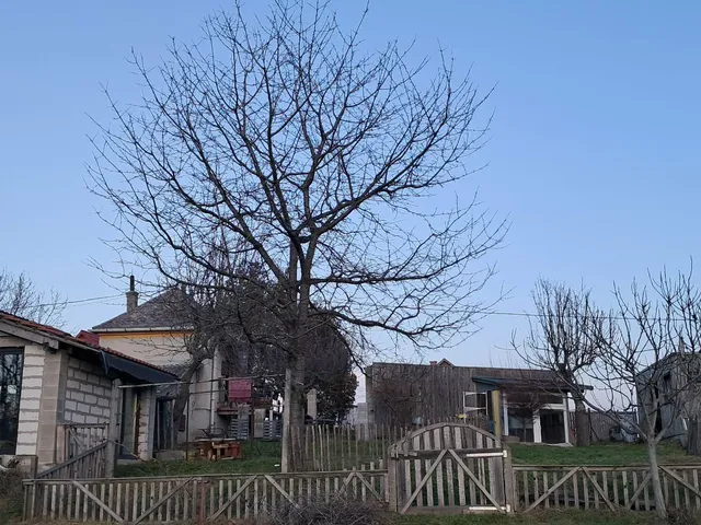 Eladó üdülő és hétvégi ház Nagybakónak 30 nm