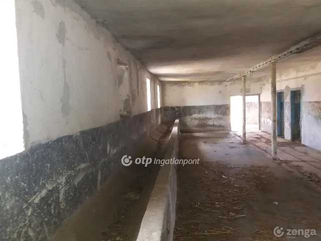 Eladó mezőgazdasági ingatlan Sárbogárd 2000 nm