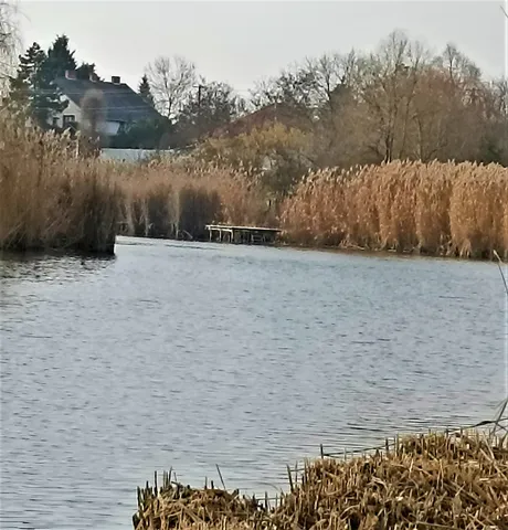 Eladó telek Gyomaendrőd, Gyoma 721 nm