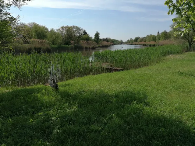 Eladó telek Gyomaendrőd, Gyoma, Hantoskerti út 721 nm