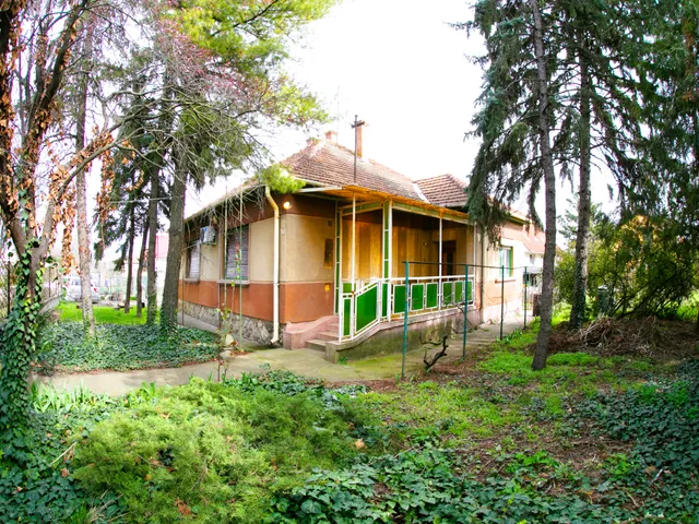 Kiadó ház Kecskemét, Hunyadiváros 100 nm