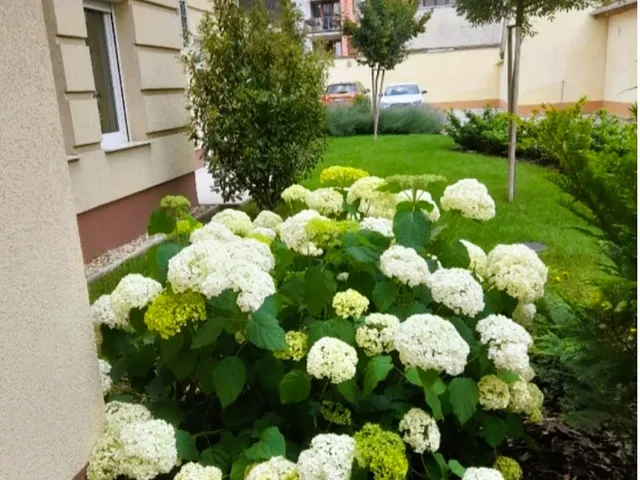 Eladó lakás Kecskemét, Belváros 80 nm