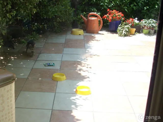 Kiadó lakás Budapest XIV. kerület, Alsórákos 63 nm