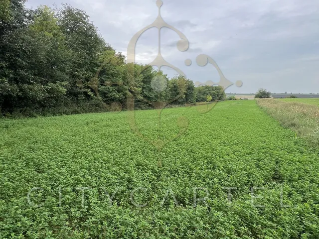 Eladó mezőgazdasági ingatlan Balatonboglár 5755 nm