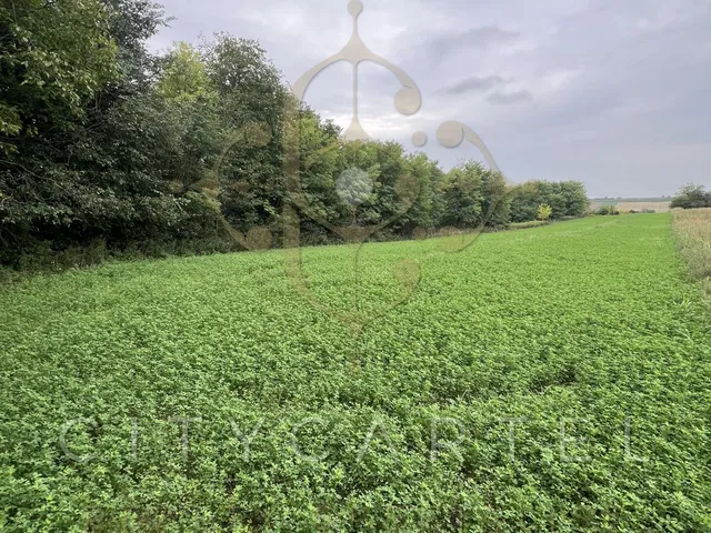 Eladó mezőgazdasági ingatlan Balatonboglár 5755 nm