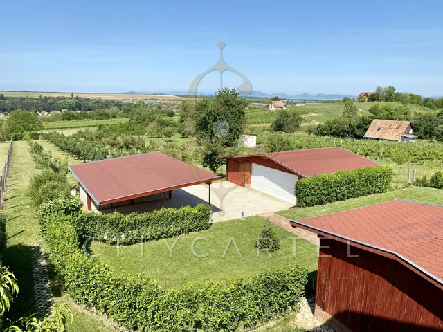 Eladó üdülő és hétvégi ház Szőlősgyörök 200 nm