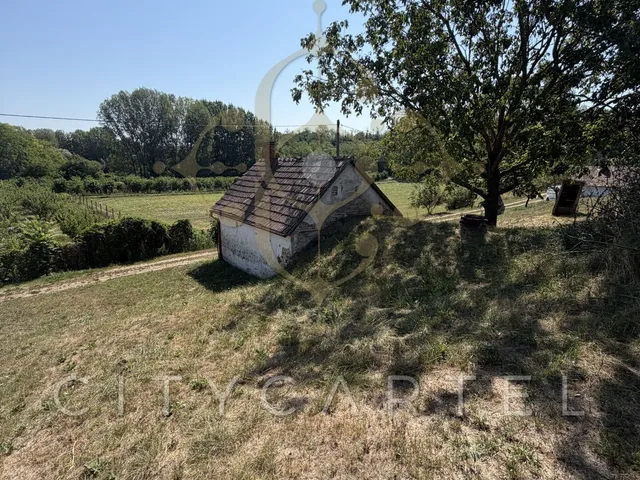 Eladó mezőgazdasági ingatlan Látrány 30 nm