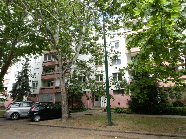 Eladó lakás Szeged 53 nm