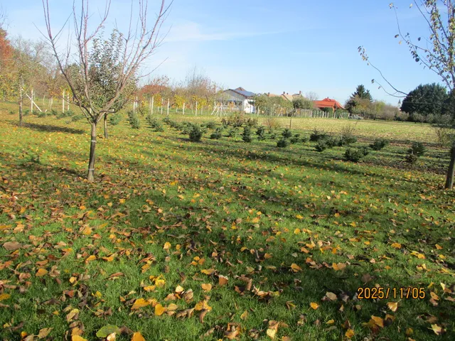 Eladó telek Rábacsanak 4883 nm