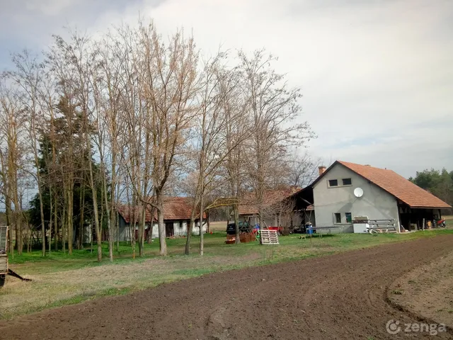 Eladó mezőgazdasági ingatlan Ásotthalom 32000 nm