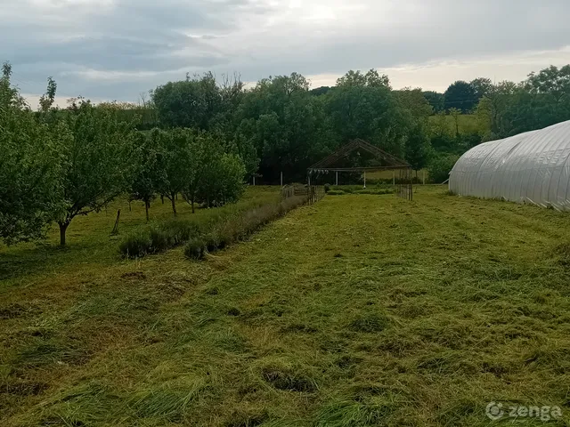 Eladó mezőgazdasági ingatlan Bajna 3520 nm