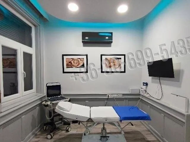 Eladó ház Budapest XIV. kerület, Istvánmező 393 nm