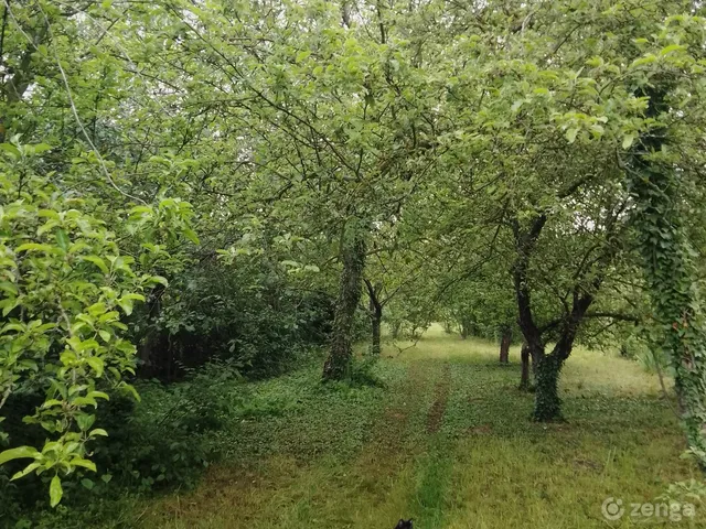 Eladó telek Kajászó 1210 nm