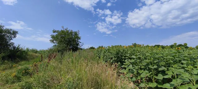 Eladó telek Tabajd 1311 nm